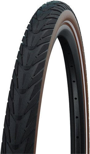 SCHWALBE picture