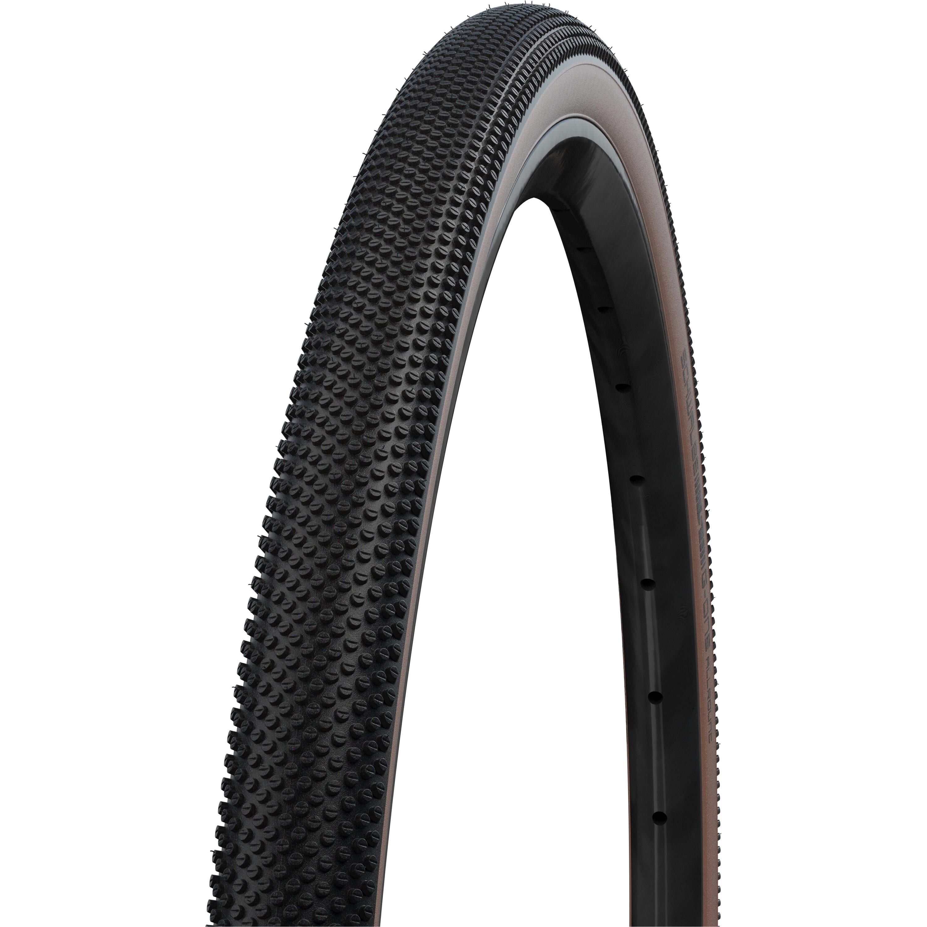 SCHWALBE picture