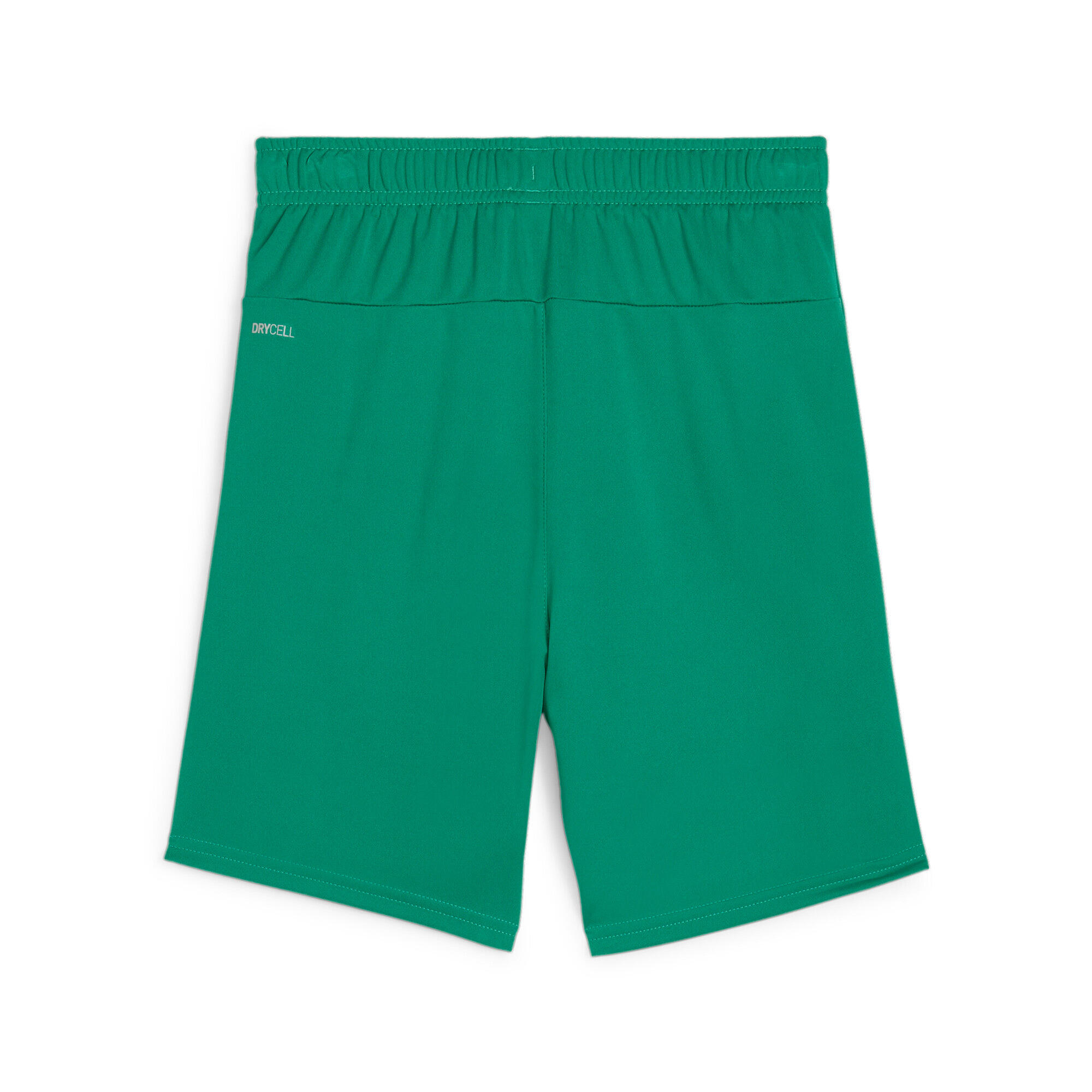 Szorty dla dzieci Puma Teamgoal 2/3
