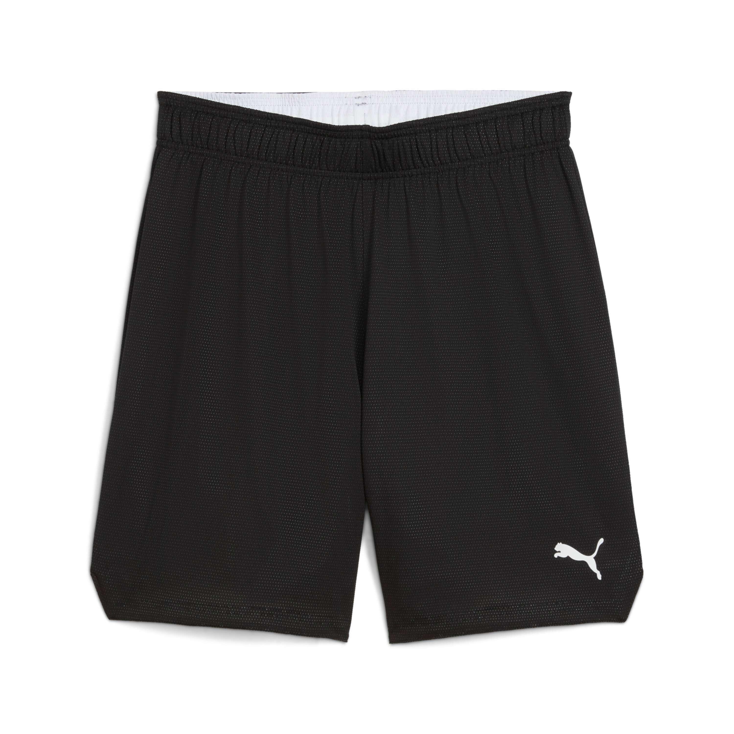 PUMA picture