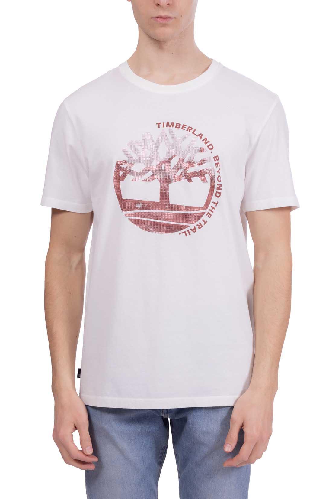 T-shirt uomo regular con stampa grafica  - Taglia S 2/5