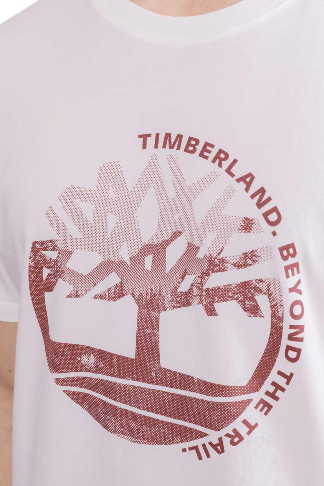 T-shirt uomo regular con stampa grafica  - Taglia S 4/5