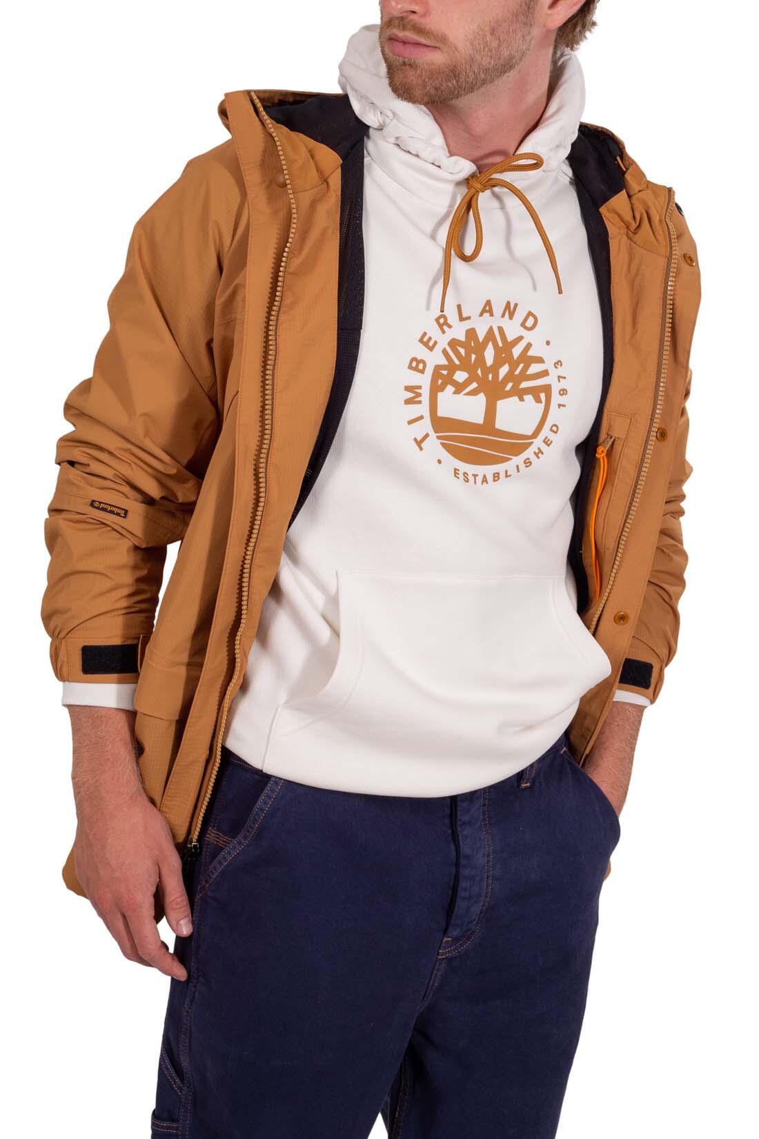 TIMBERLAND picture