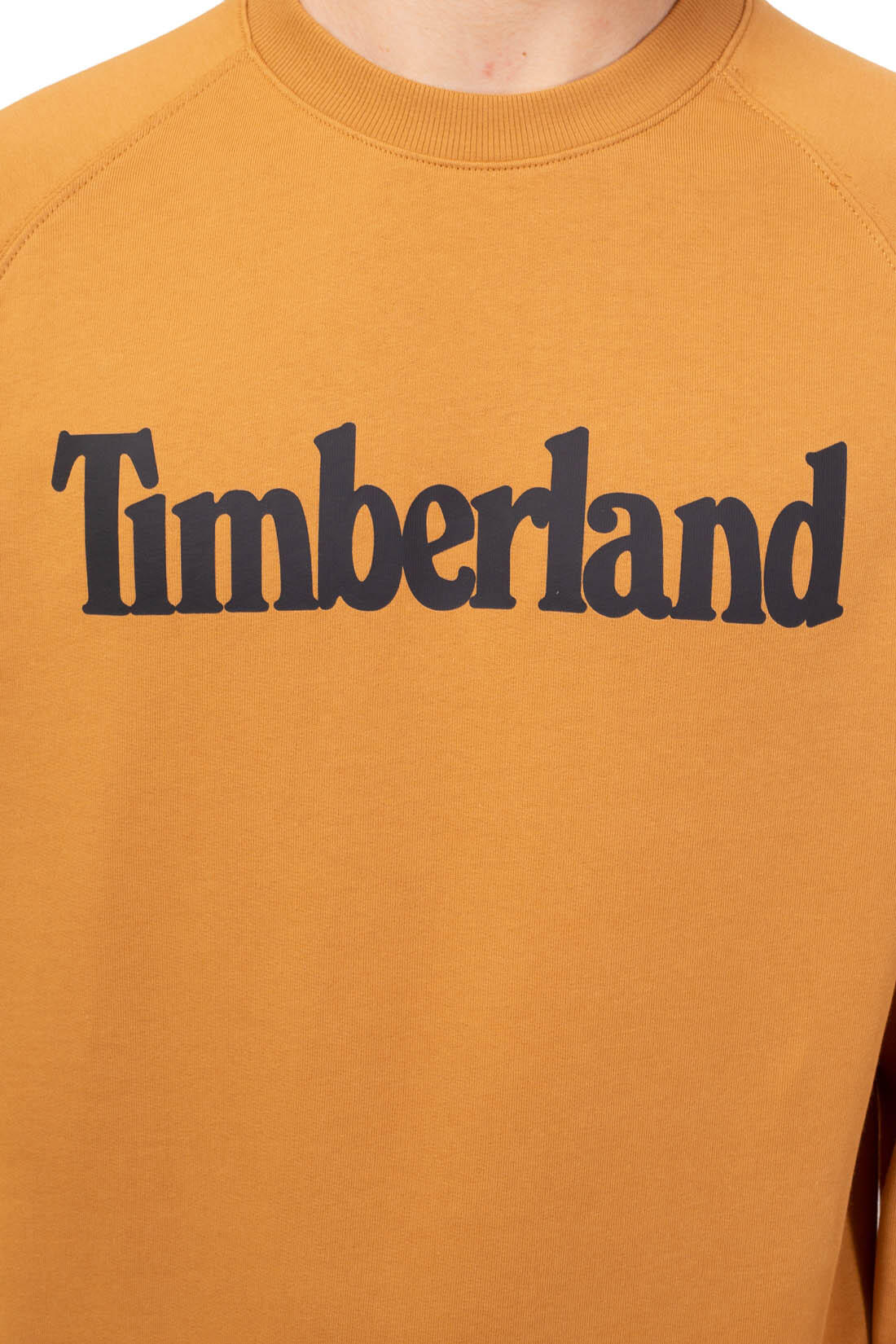 TIMBERLAND picture