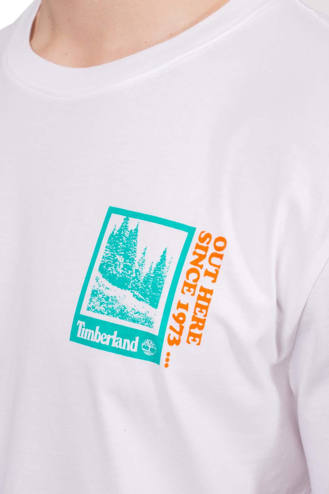 Men's relaxed-fit T-shirt, 100% cotton. 5/5