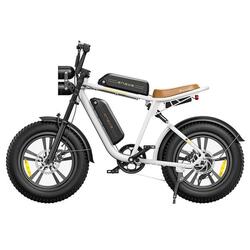 VTT électrique ENGWE M20 48 V 26 Ah Double batterie