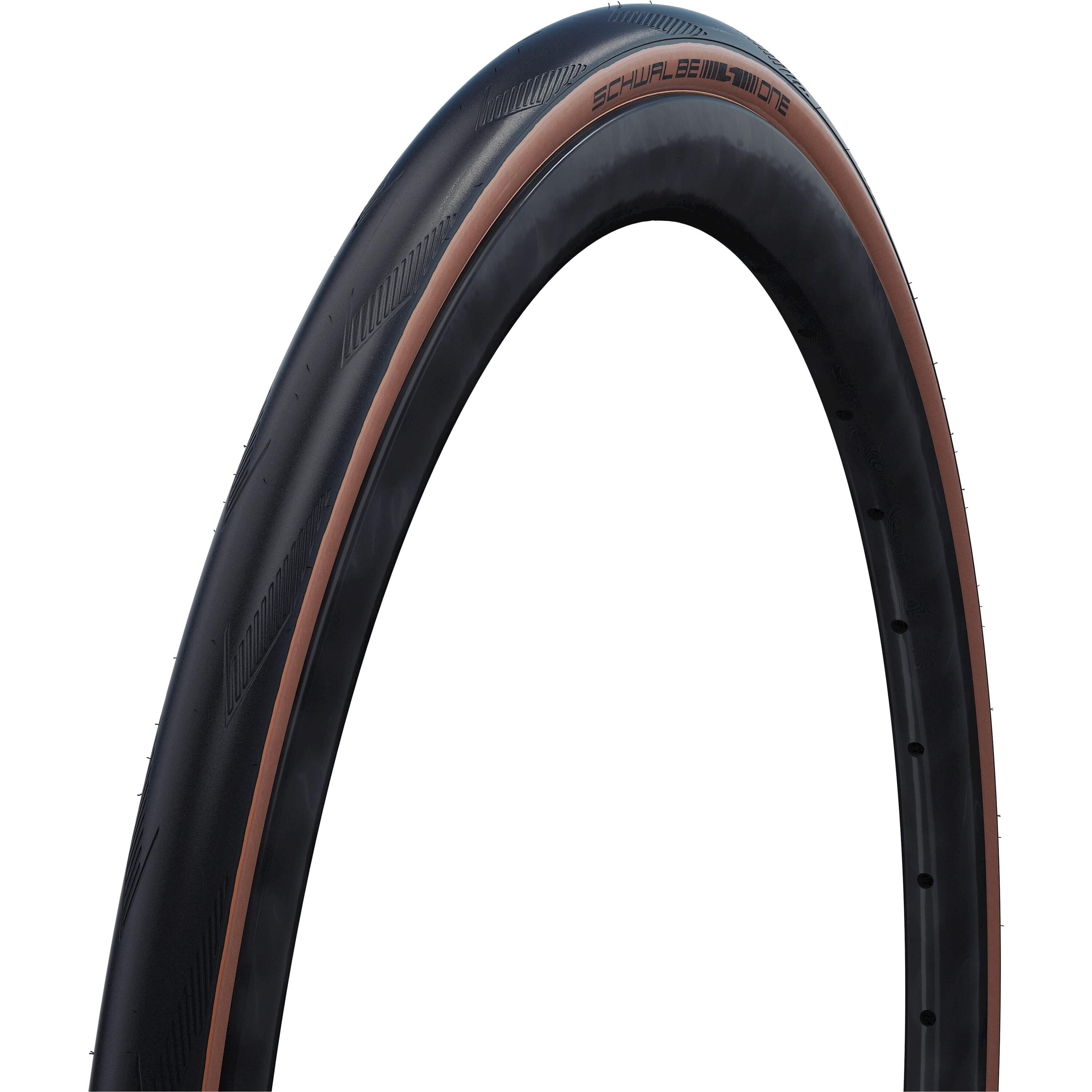 SCHWALBE picture