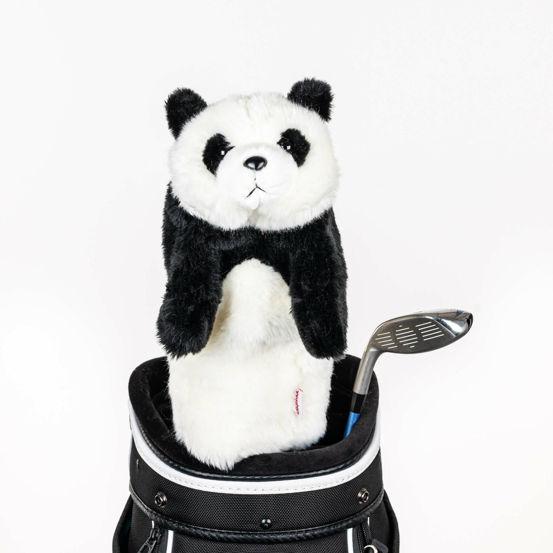Copertina del panda club Daphne bois 2/2