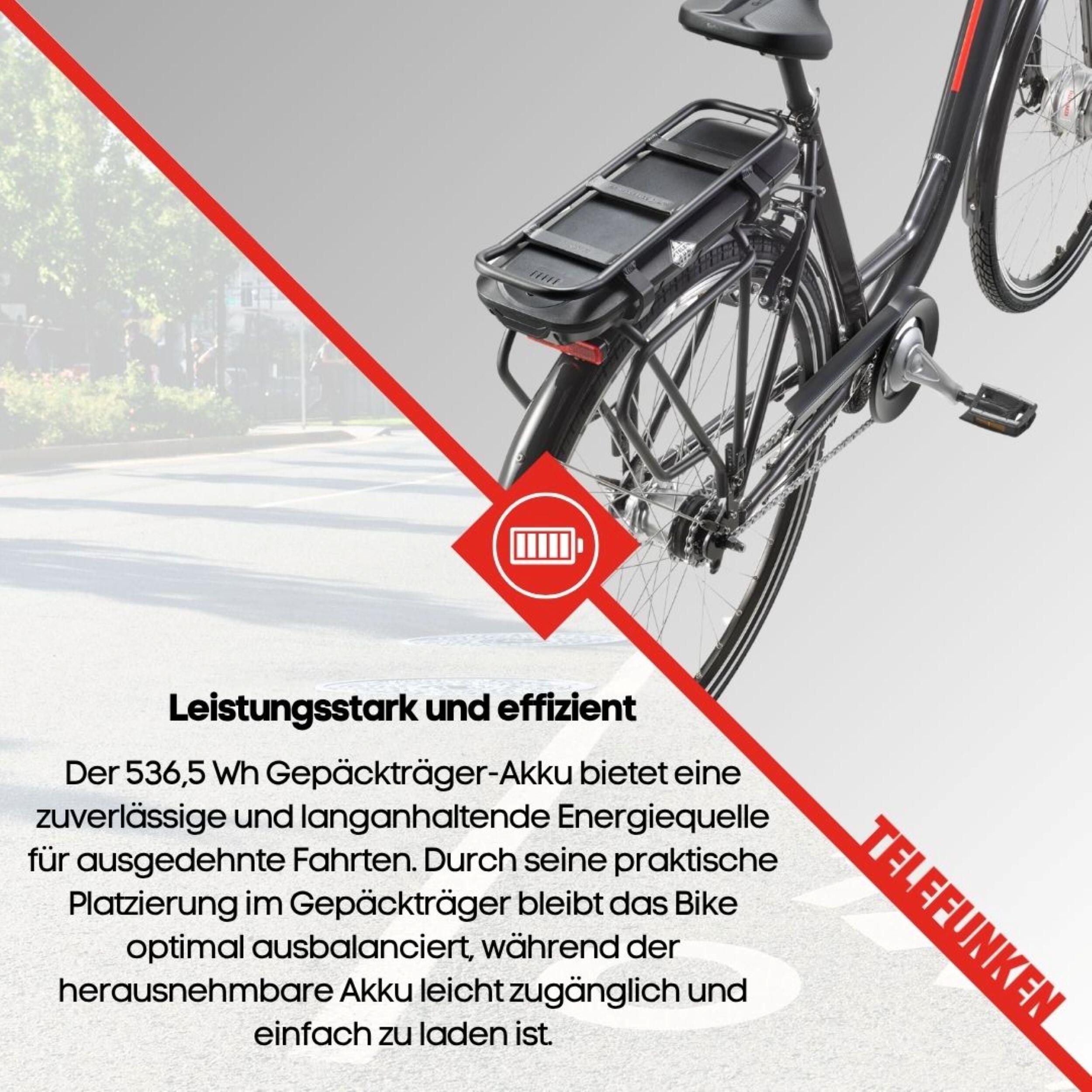 E-Bike RC657 28 Zoll 7-Gang Pedelec City Elektrofahrrad Rücktrittbremse grau 7/8