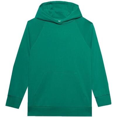 Dames f0955 pullover hoodie (zwart)