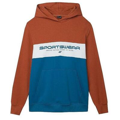 Heren wss24tswsm1032 hoodie (rood/blauw)