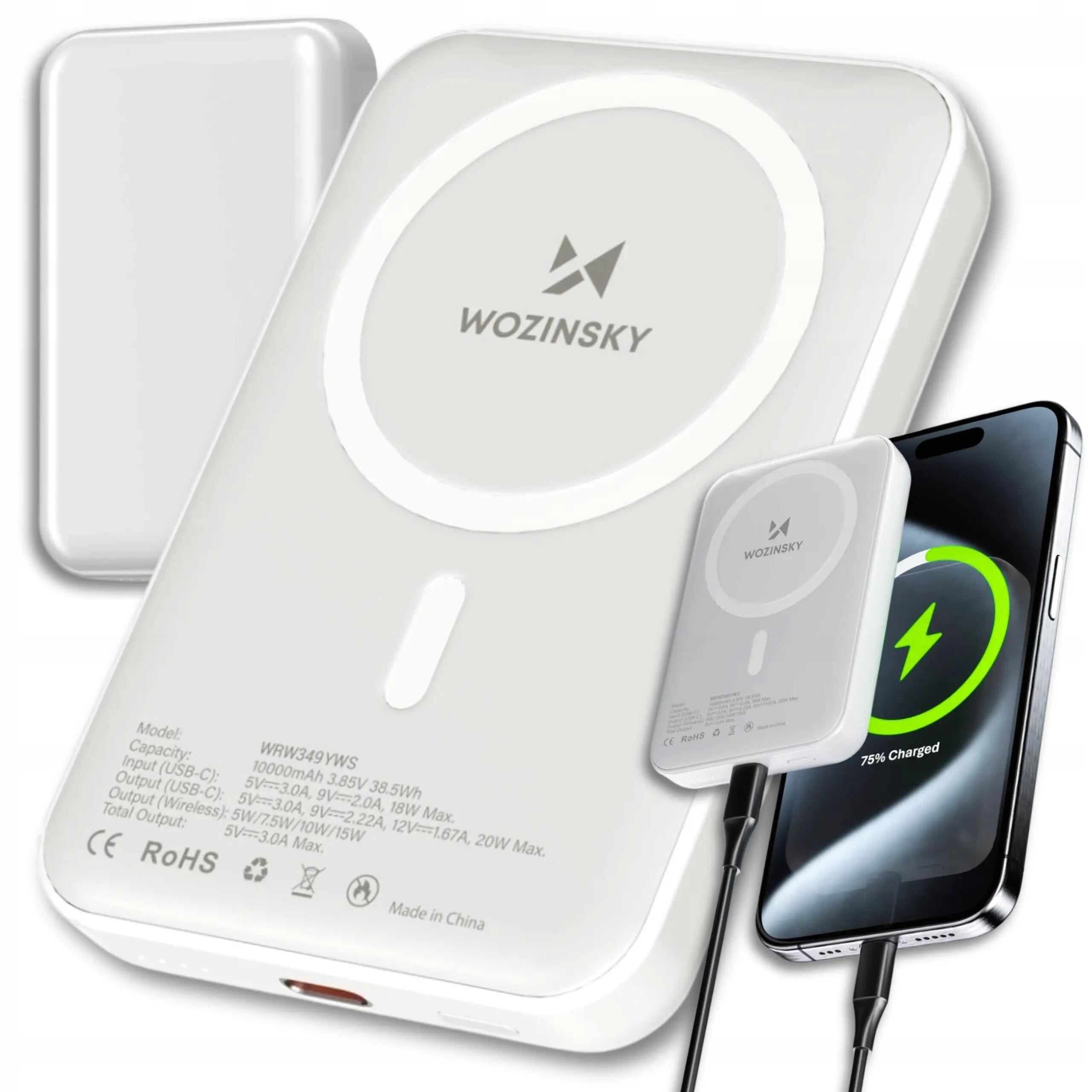 WOZINSKY picture