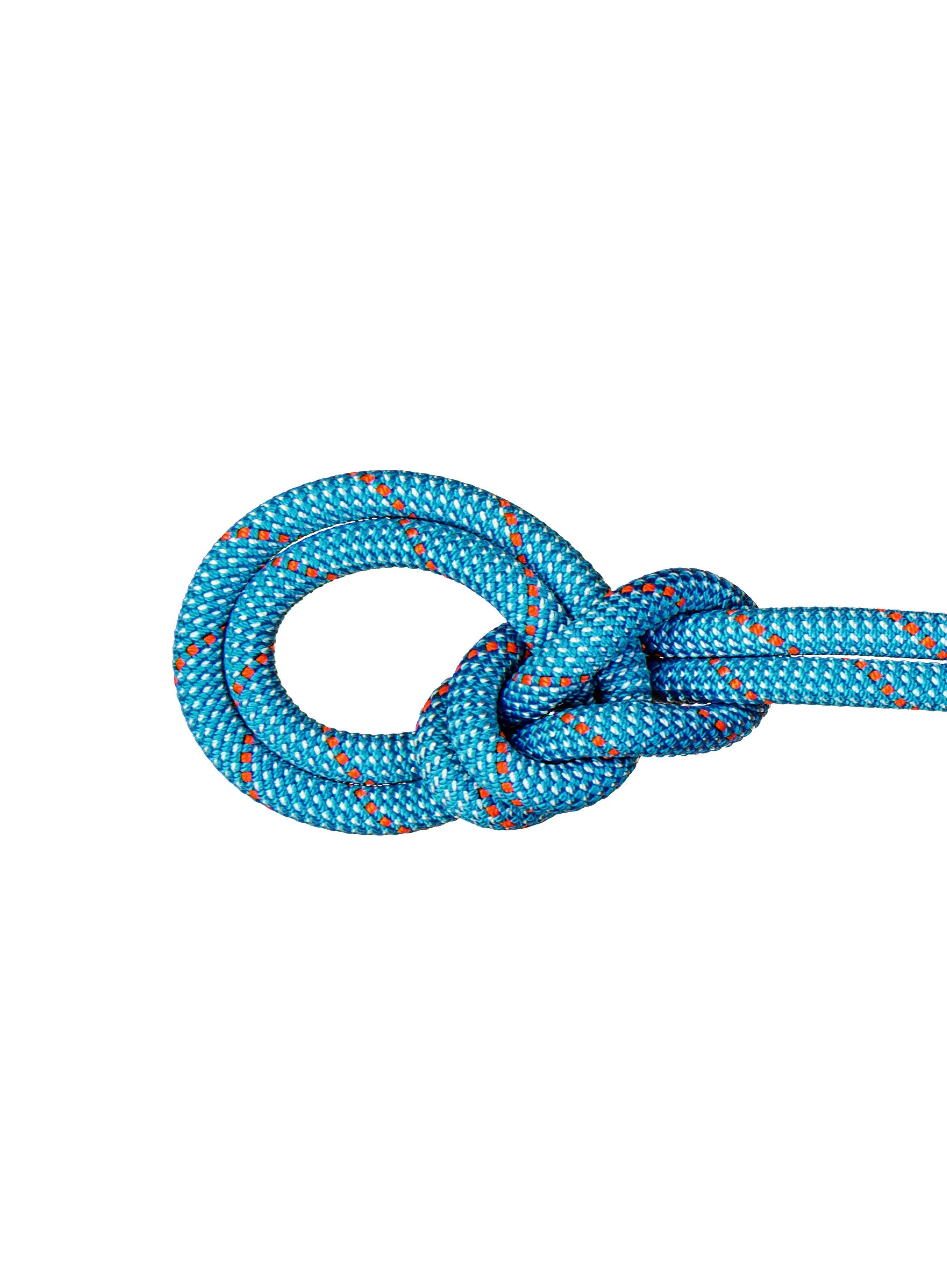 Cordino 9.8 Crag Classic Rope - MAMMUT 7/7