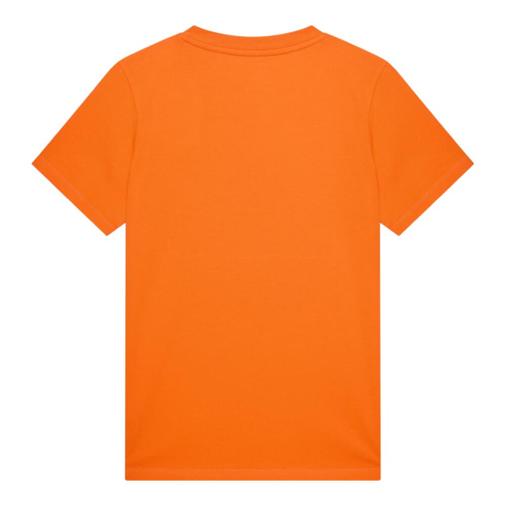 Nederlands Elftal Leeuwinnen Dames T-shirt 2/4