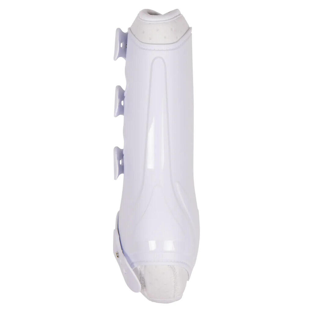 Closed front gaiters for horses QHP Champion