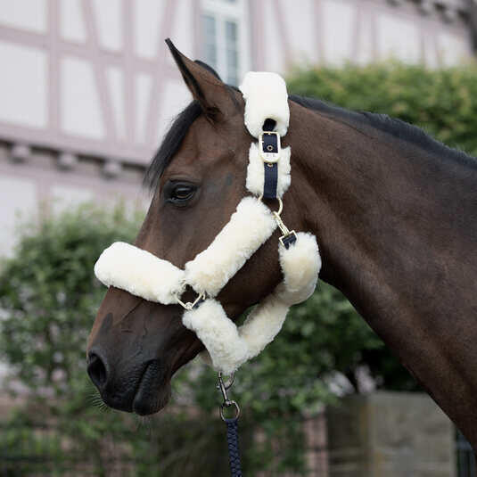 Licol pour cheval avec peau de mouton B Vertigo Tremblant 2/5