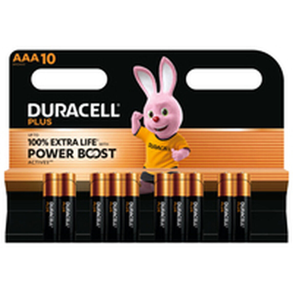 Batterie Ricaricabili DURACELL DPBLR3B10 AAA 3/3