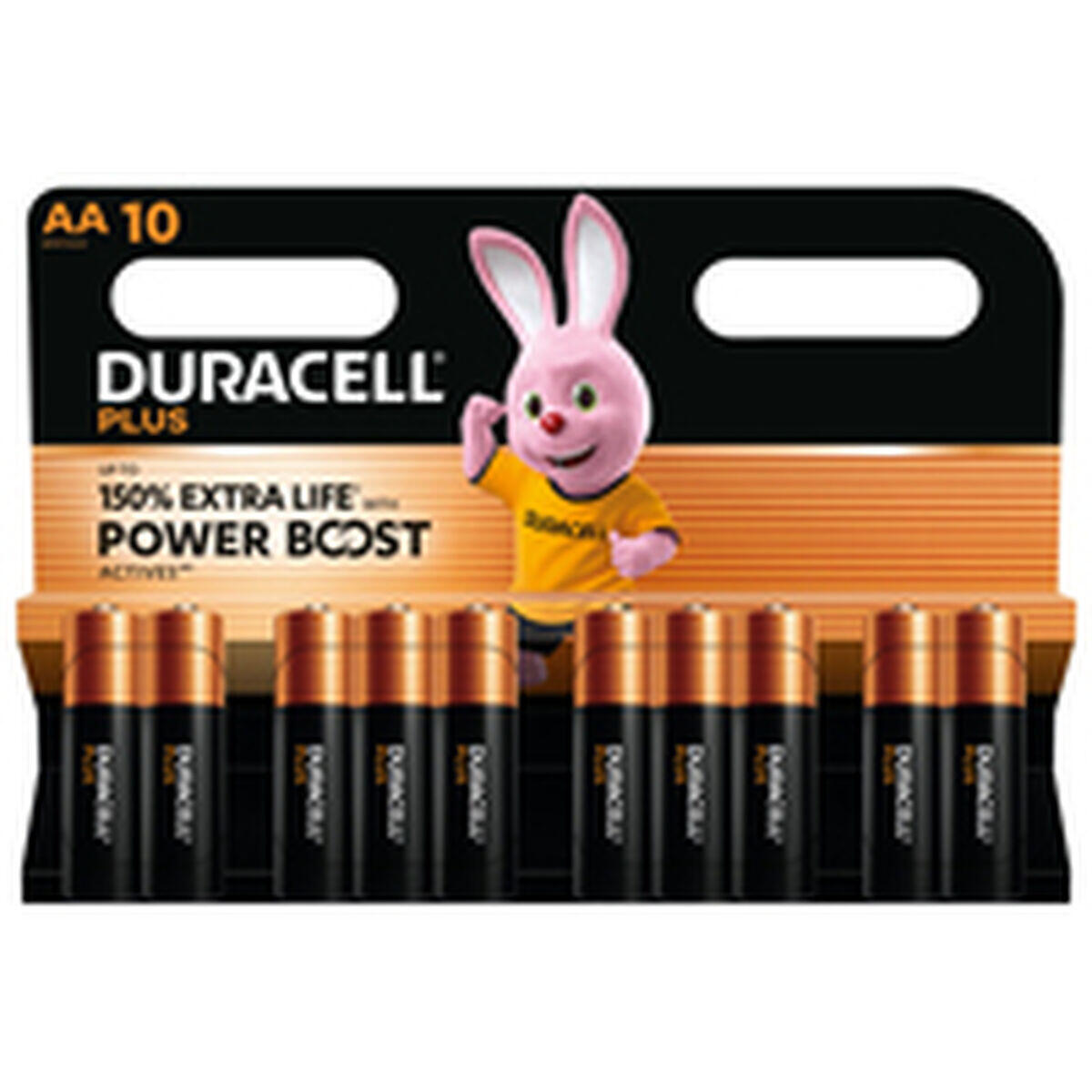 Batterie Ricaricabili DURACELL DPBLR6B10 1,5 V 3/3
