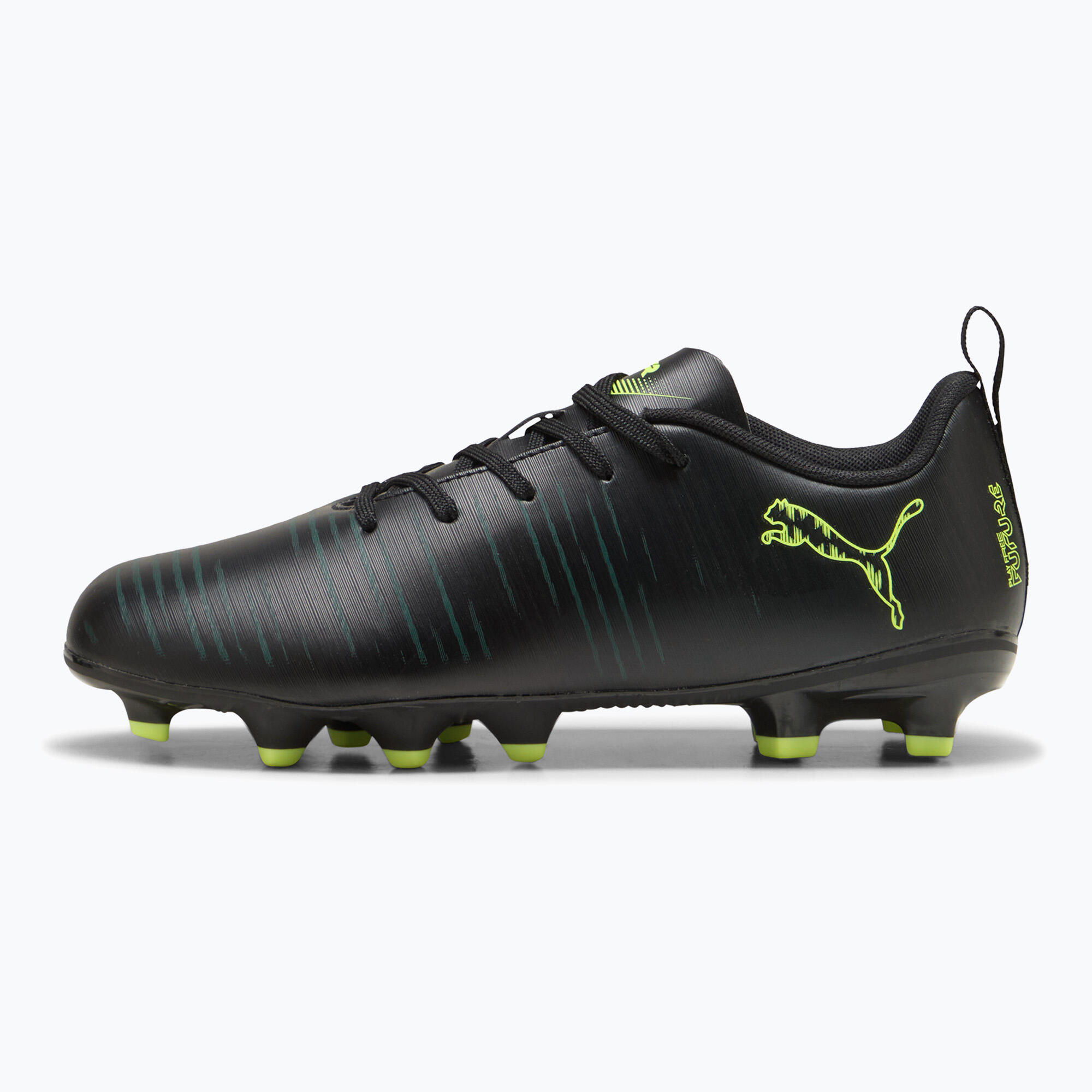PUMA picture