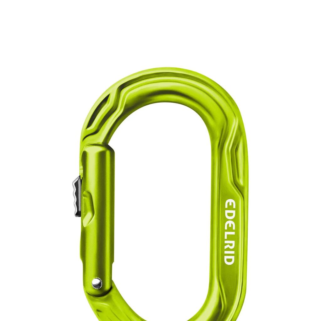 Climbing Carabiner Edelrid Kiwi Slider - Oasis