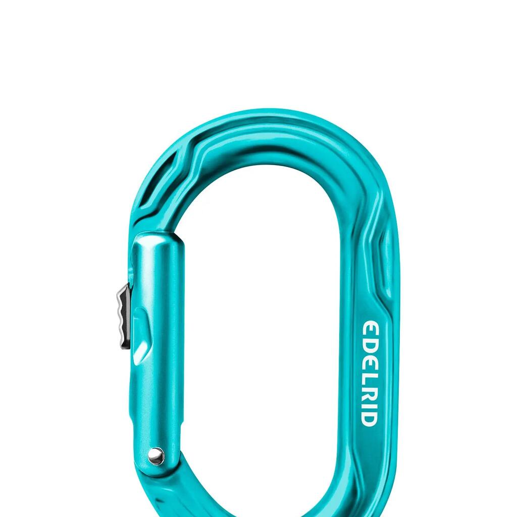 Climbing Carabiner Edelrid Kiwi Slider - Icemint