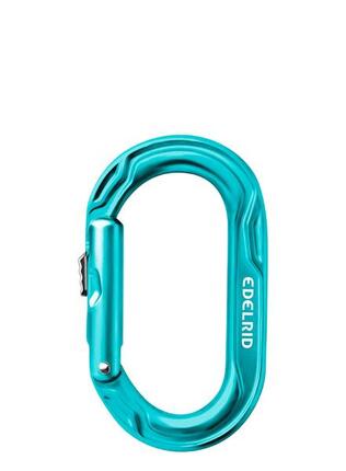 Mousqueton Edelrid Kiwi Slider - icemint