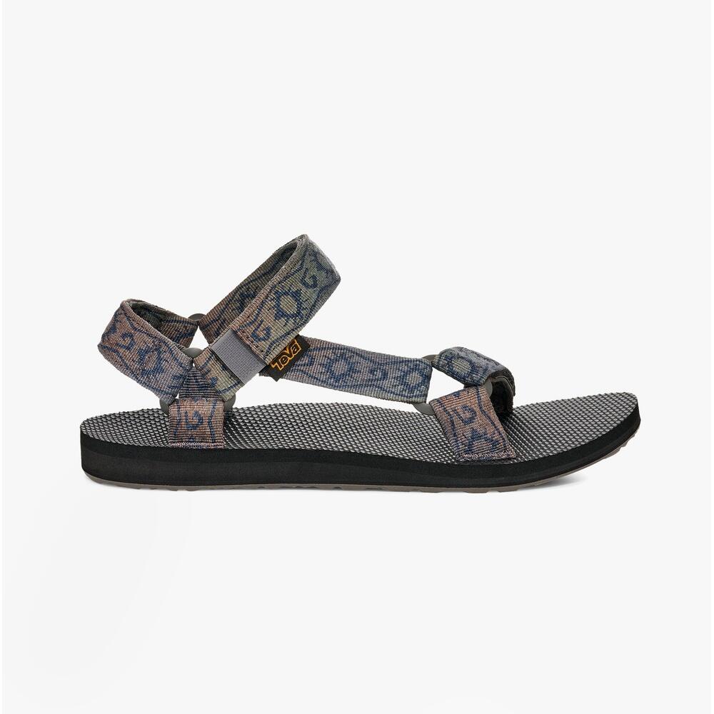 TEVA picture
