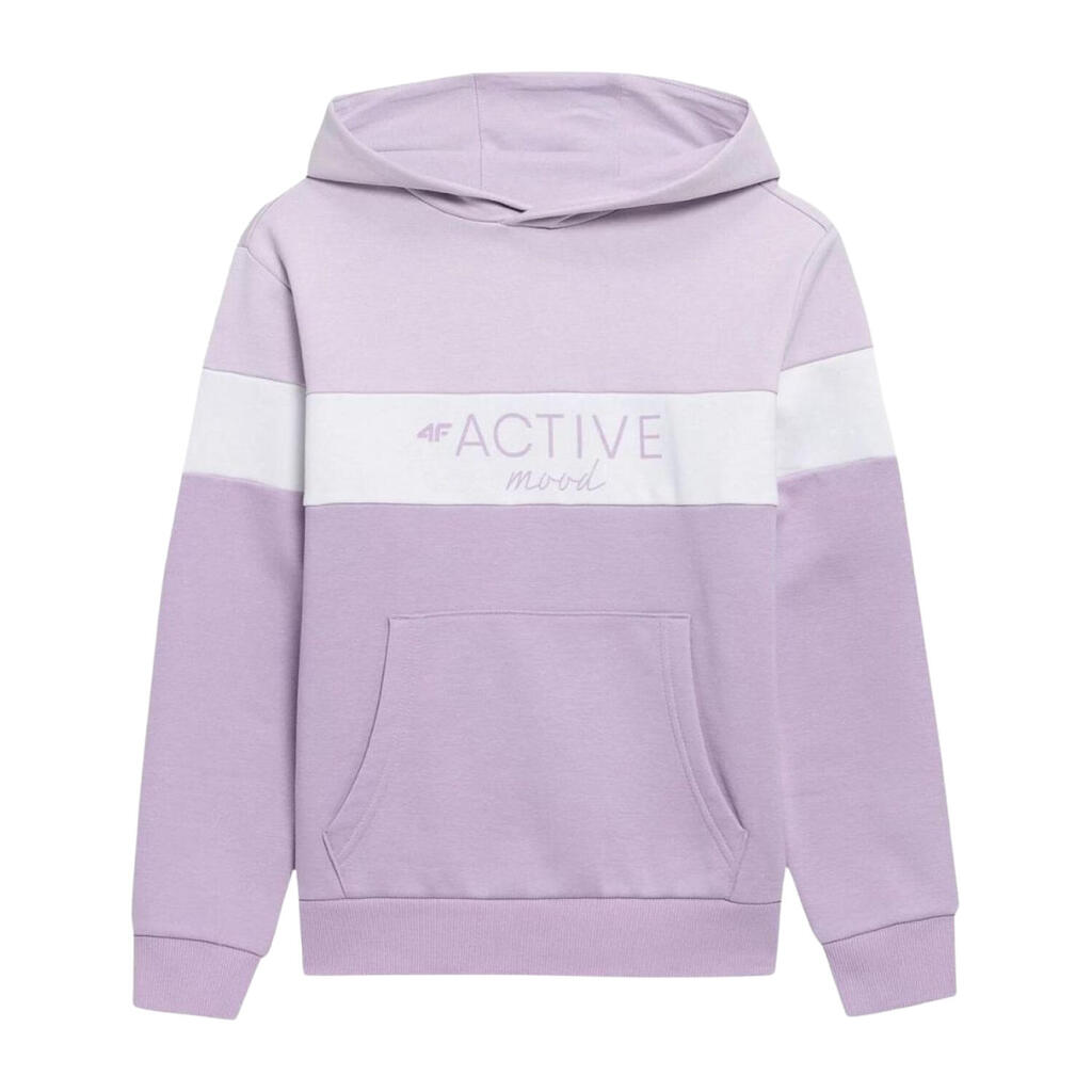 Childrens/Kids HJL22 JBLD002 Hoodie (Violet)