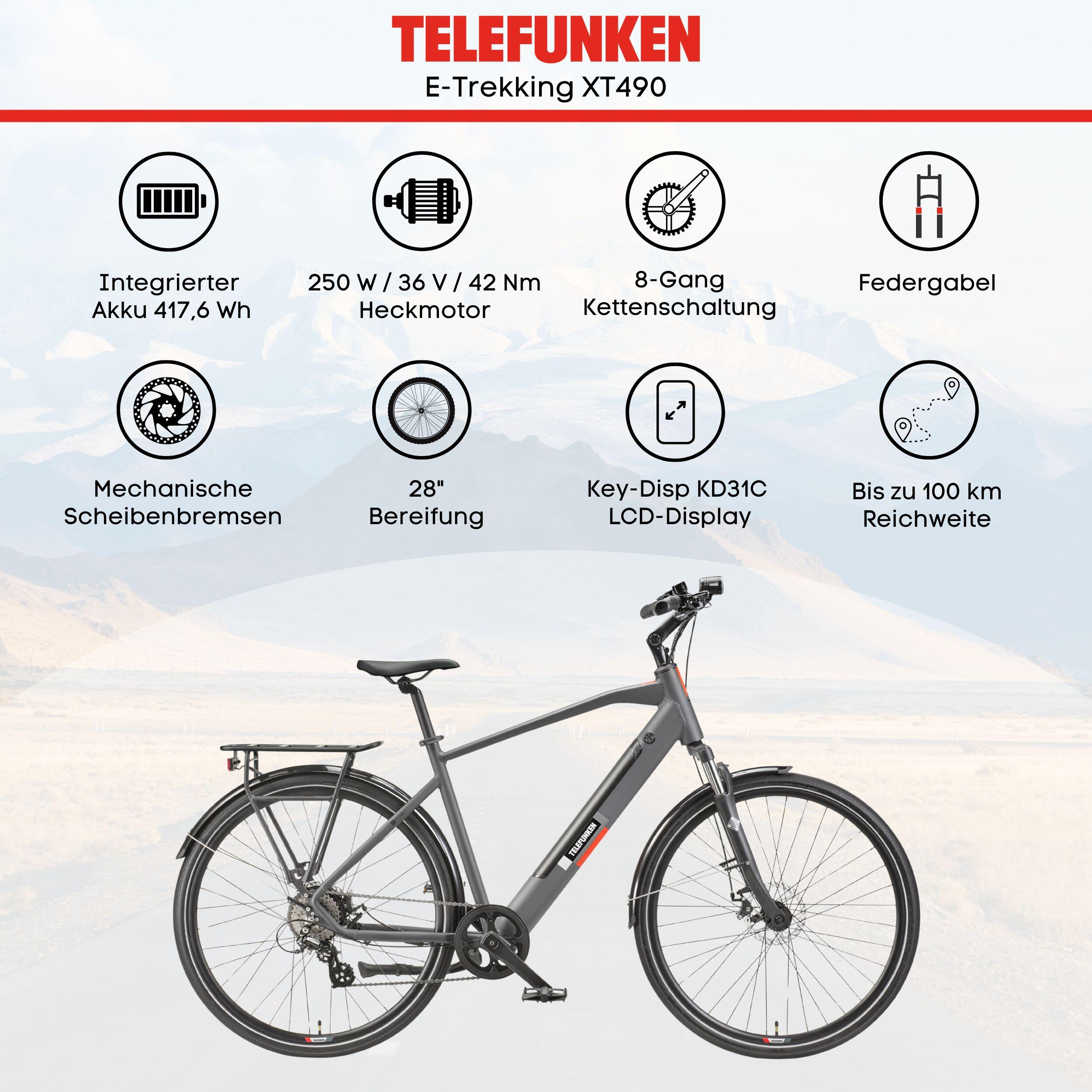 E-Bike XT490 28 Zoll 8-Gang Pedelec Trekking Touren Elektrofahrrad Herren grau 5/7