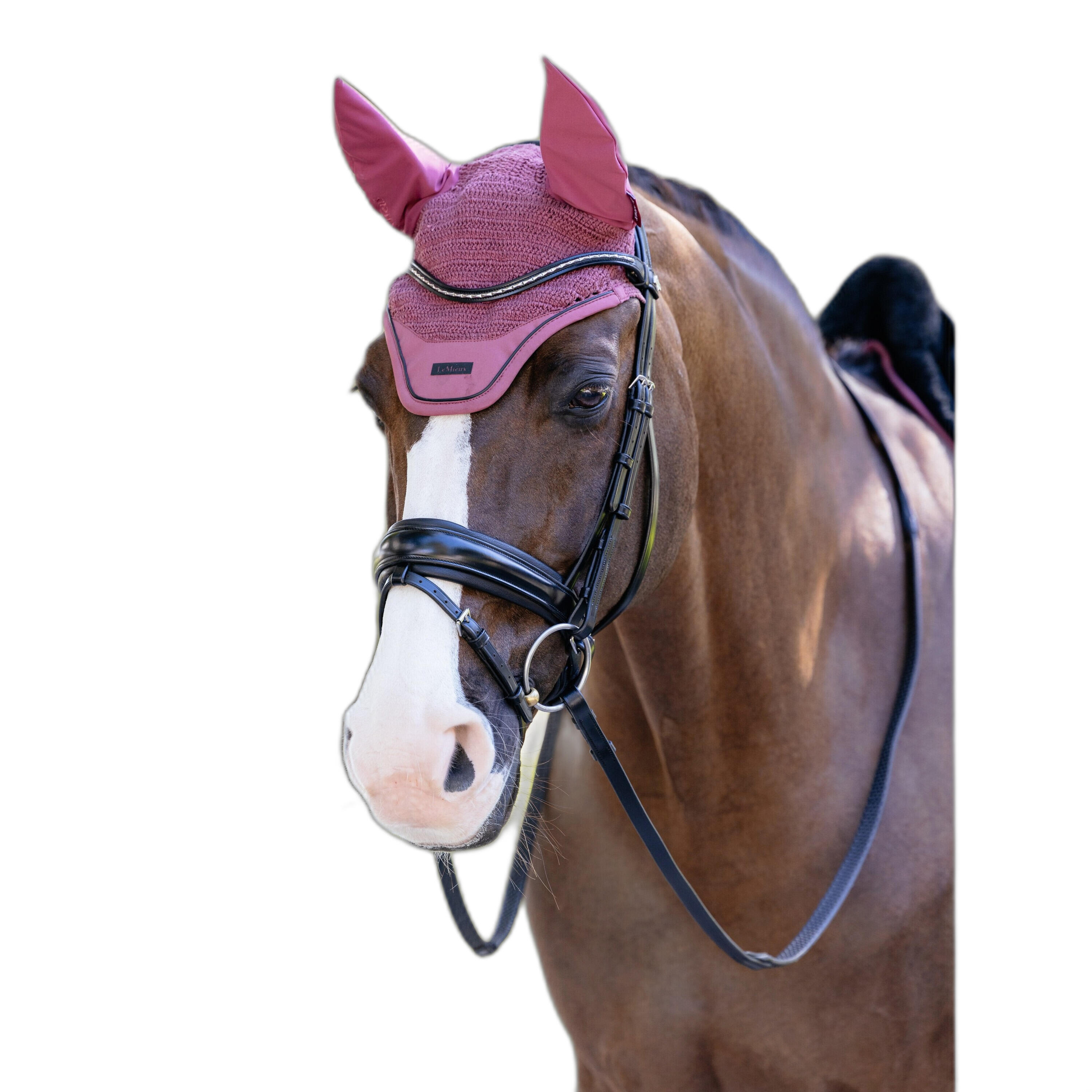 Paardenvliegen hoed LeMieux 2/2