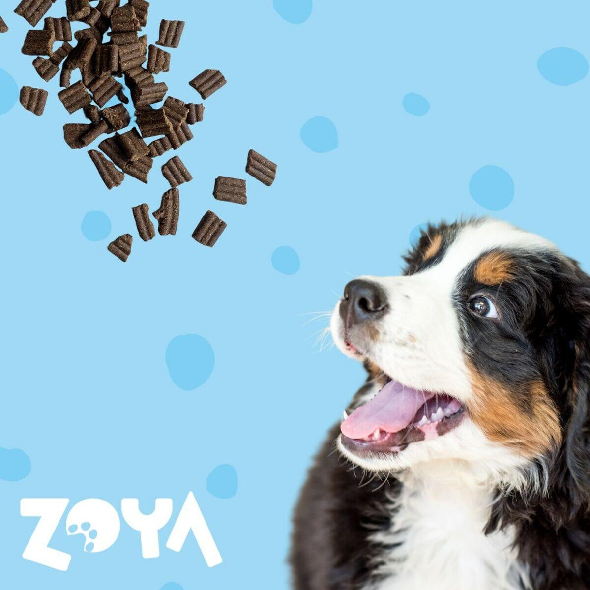 Pienso Zoya Pato 4/4