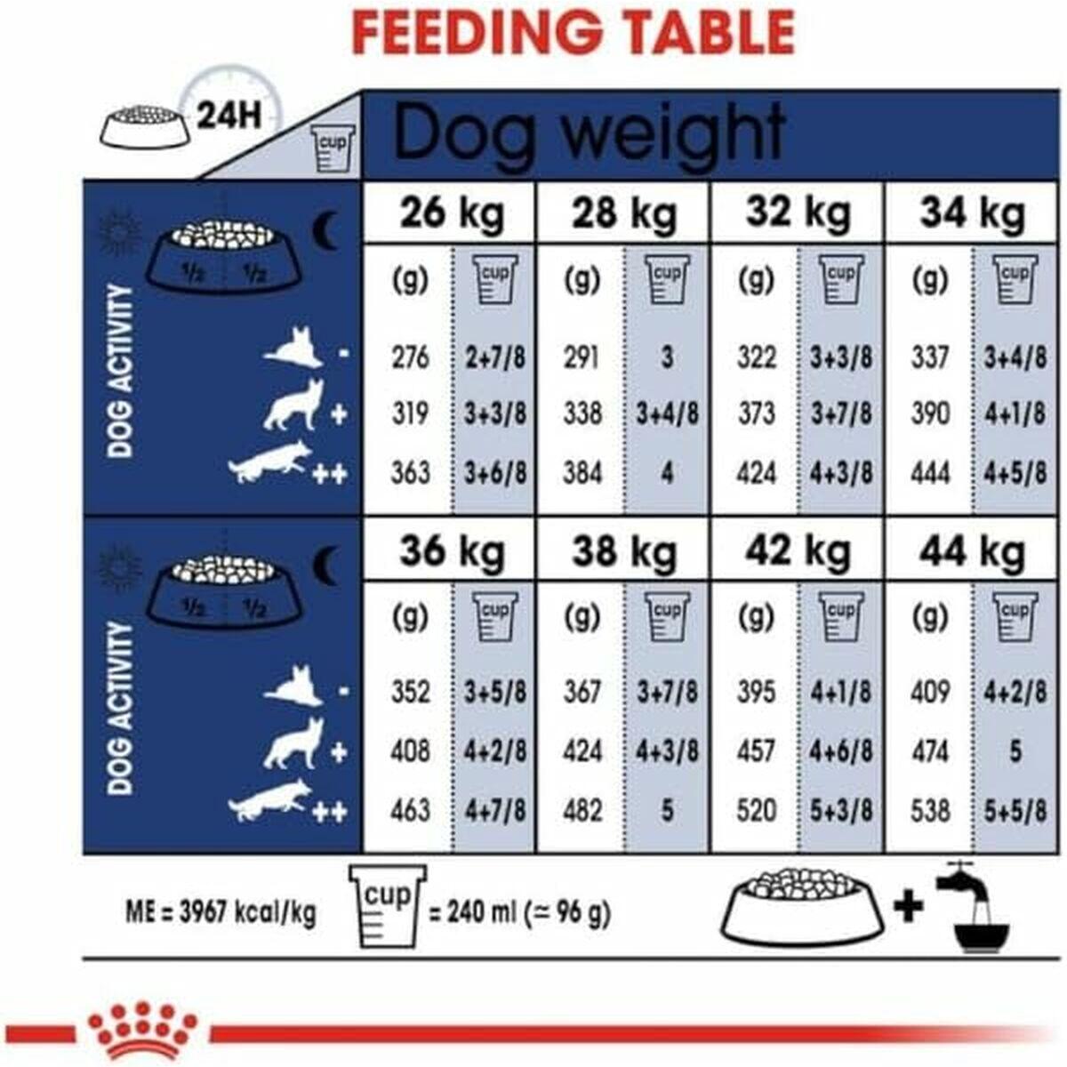 Pienso Royal Canin Adultos 4/5