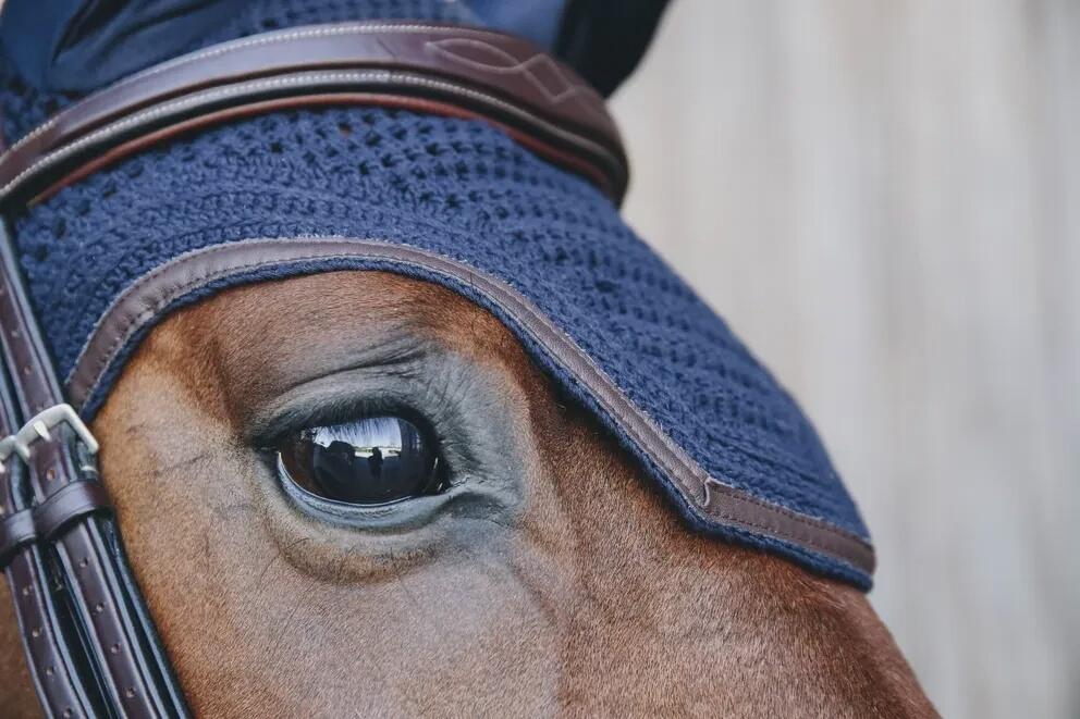 Sombrero de cuero antirruido para caballos Kentucky Wellington 2/7