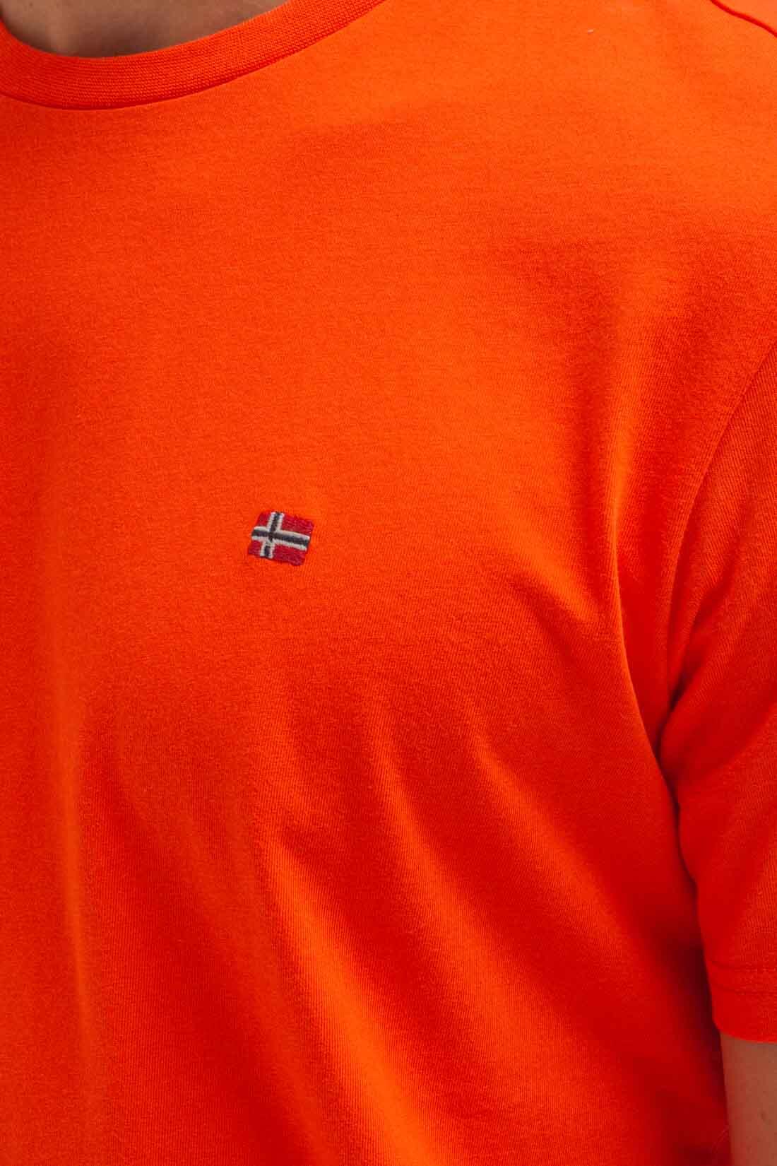 Tee Shirt Napapijri Salis SS Sum - Homme 4/5