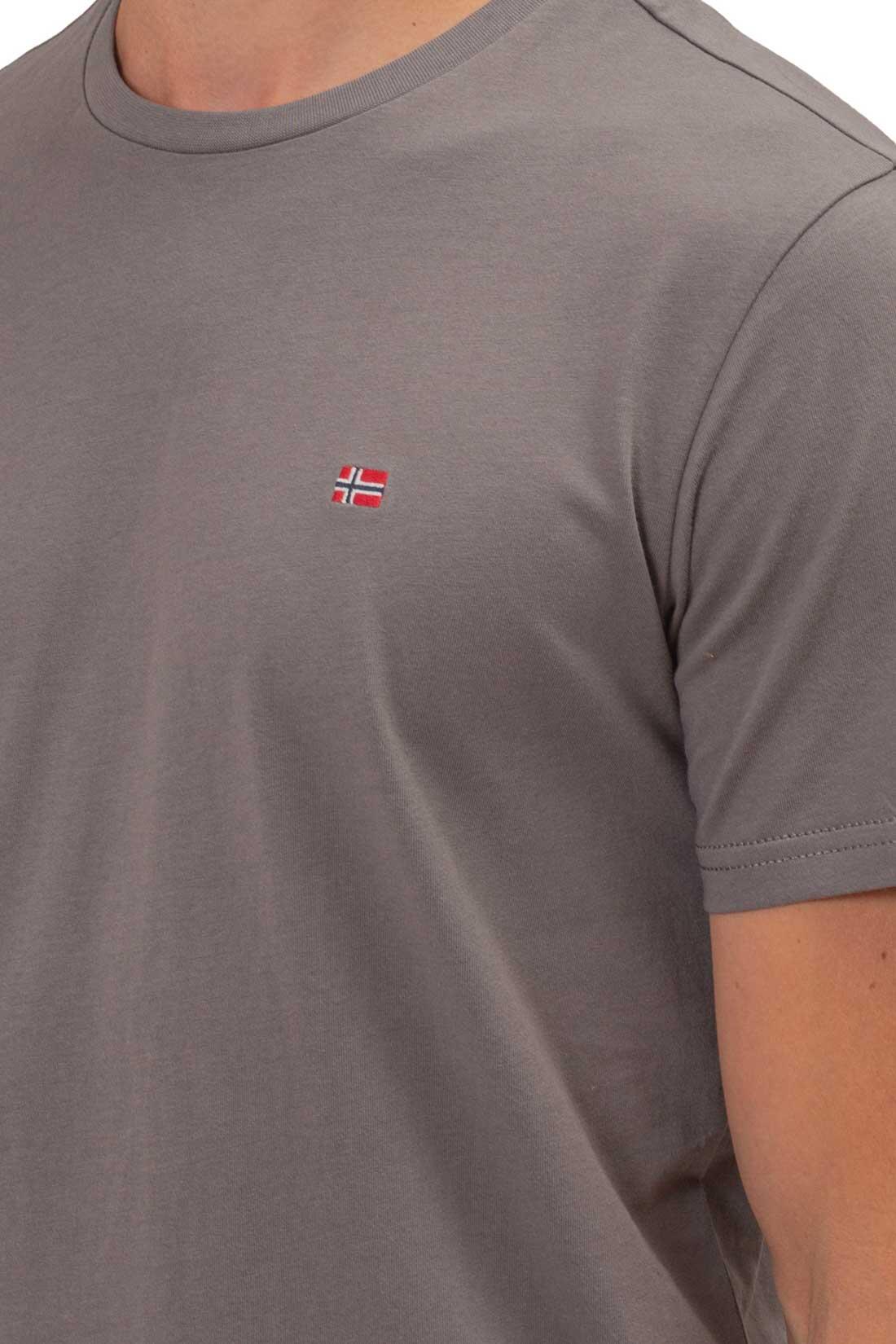 Tee Shirt Napapijri Salis SS Sum - Homme 4/5