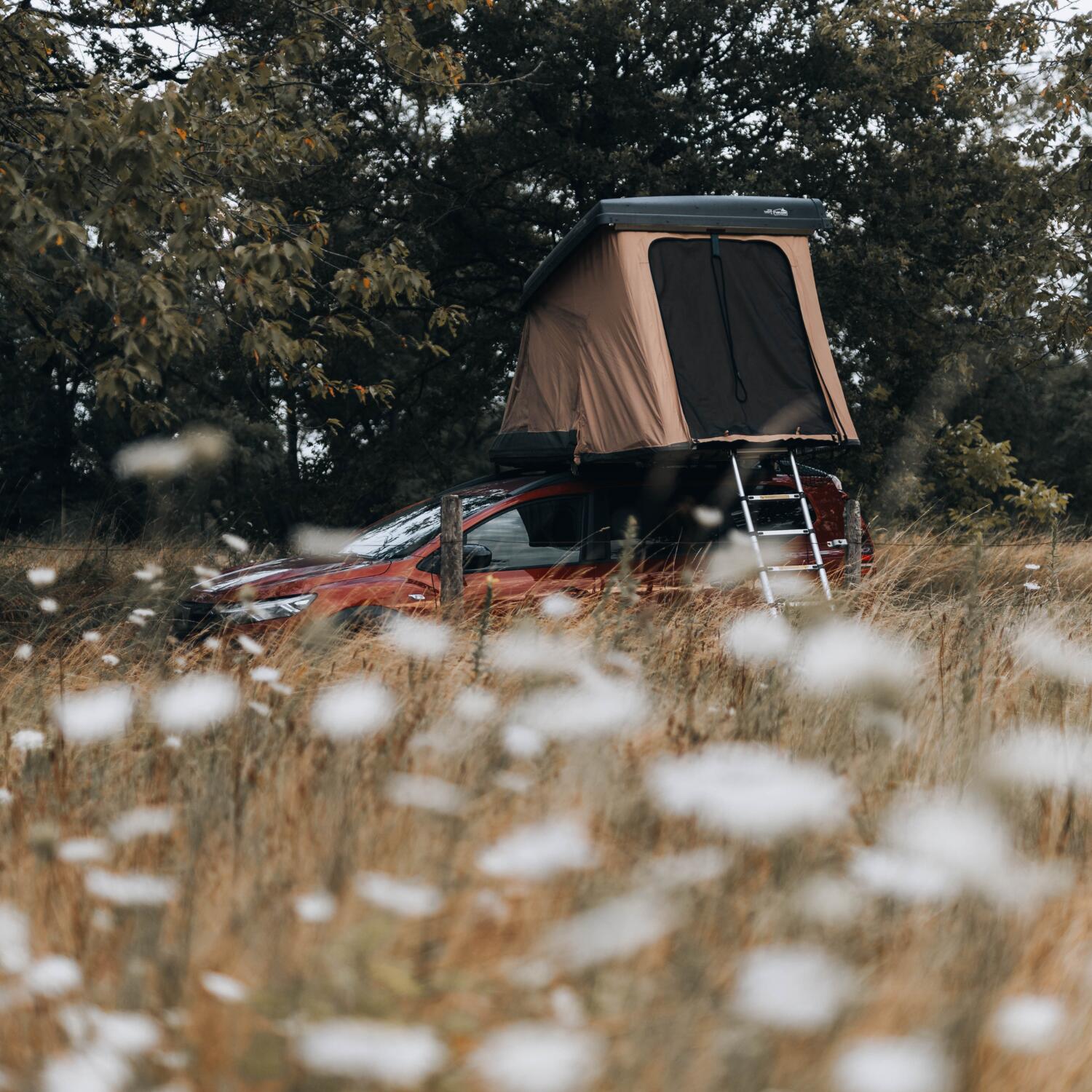 Tenda a tetto rigida NaïtUp TriUp per 2/3 persone 5/5