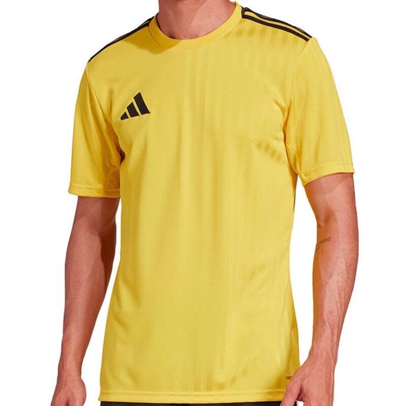 95255789-6ac1-4d4f-ad66-ad9551c60d26_c22