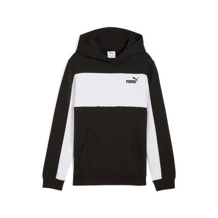 Sweatshirt à capuche enfant Puma Essentials Block Small Logo