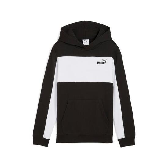 Sweatshirt à capuche enfant Puma Essentials Block Small Logo