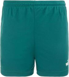 Shorts de Sport pour Hommes Puma - Confort et Performance