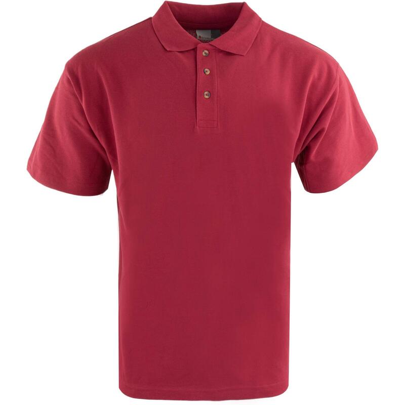 a49639b2-213b-48ec-9de7-a57c742ebb01_c77