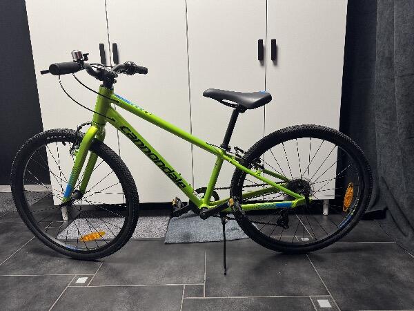 CANNONDALE picture
