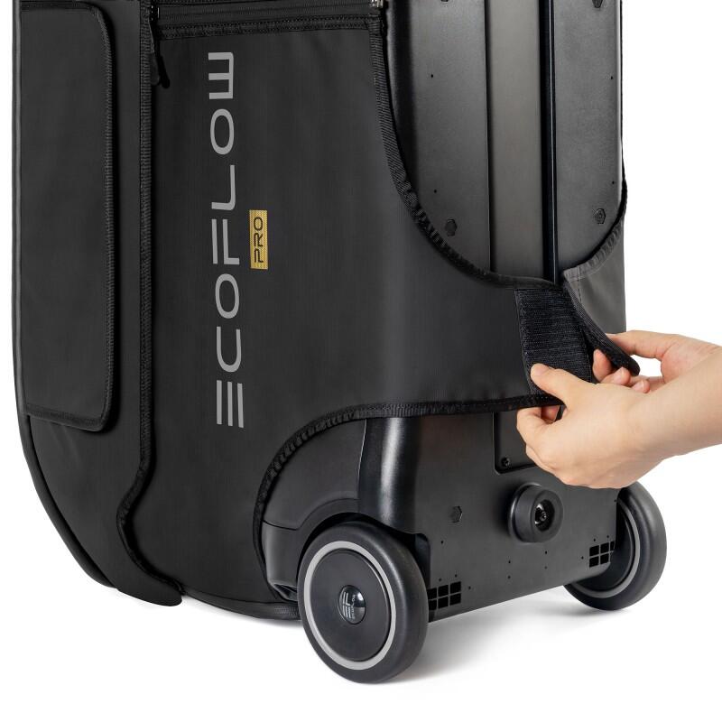 Ecoflow Saco Delta Pro 4/6