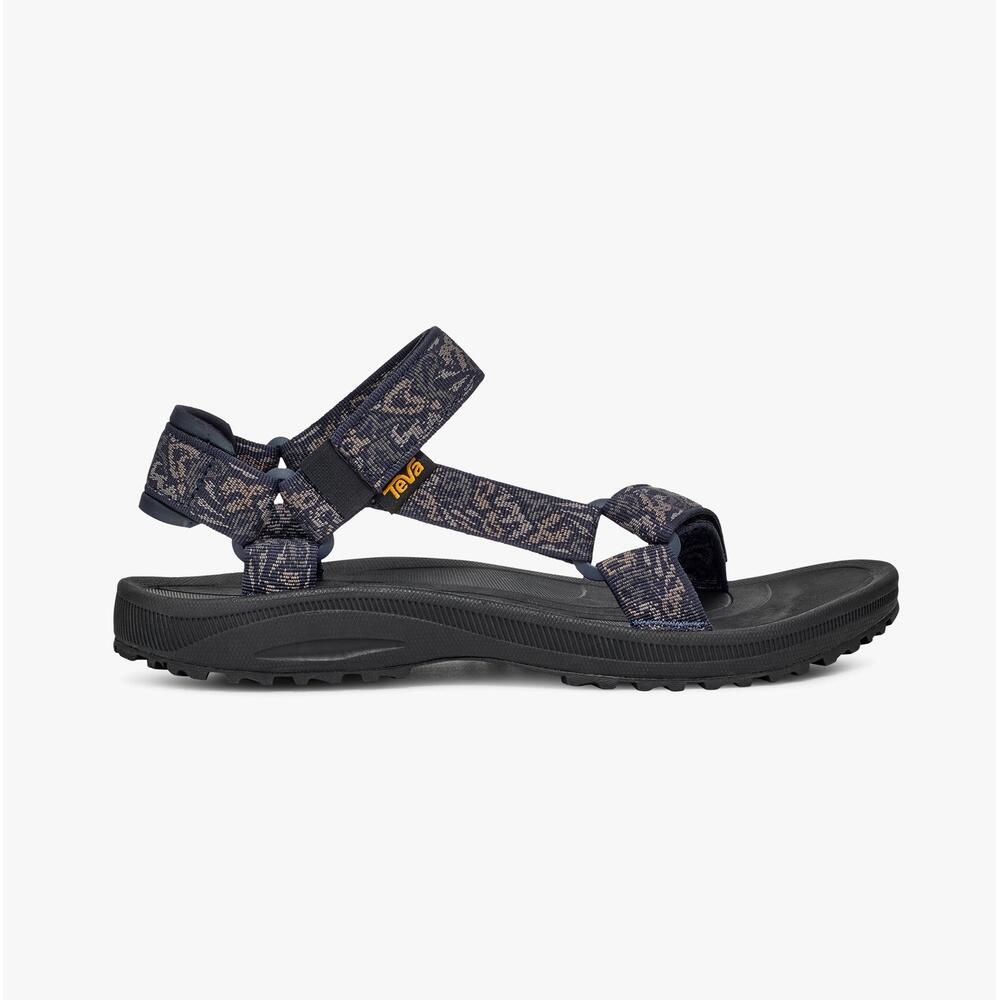 TEVA picture