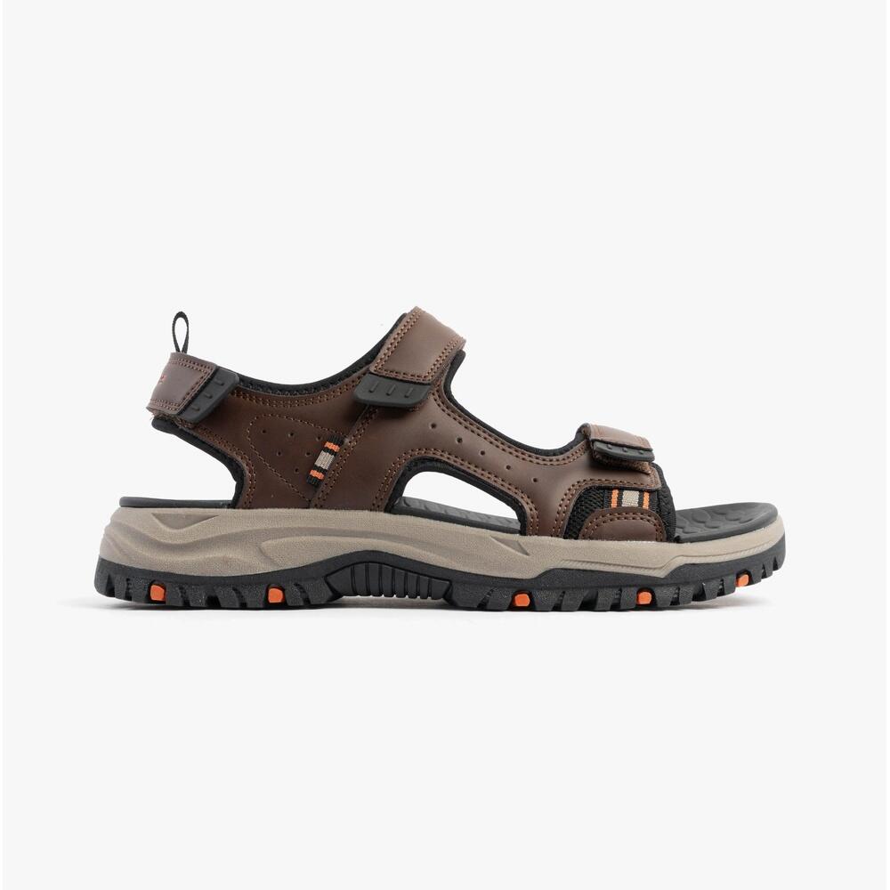 SKECHERS picture