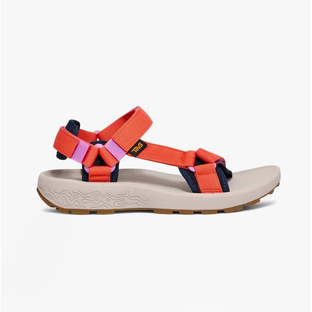TEVA picture