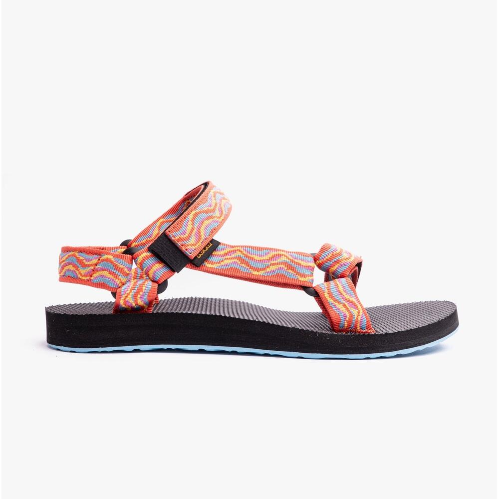 TEVA picture