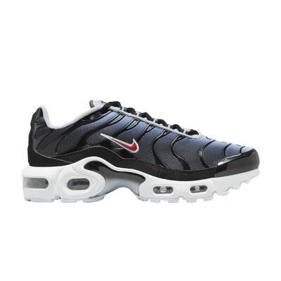 Nike Air Max Plus Blue Tint Rugged Orange (GS)