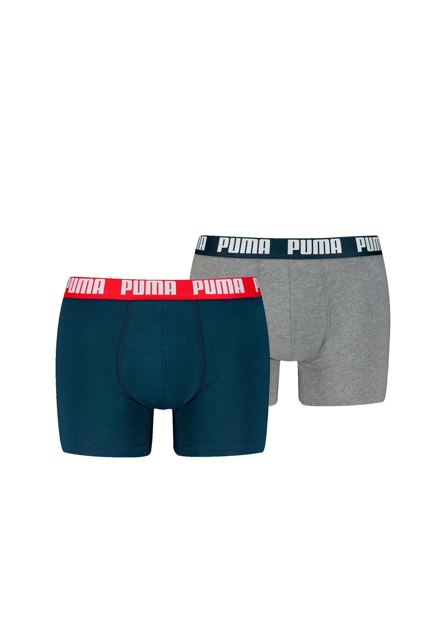PUMA picture