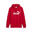 Pánská běh svetr s kapucí Essentials No. 1 PUMA